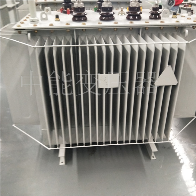 迪庆S20-800KVA变压器